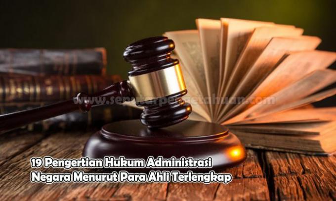 Understanding State Administrative Law According to Experts