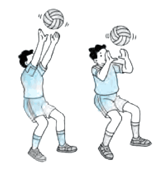 4 Basic Techniques of Volleyball Game and Pictures