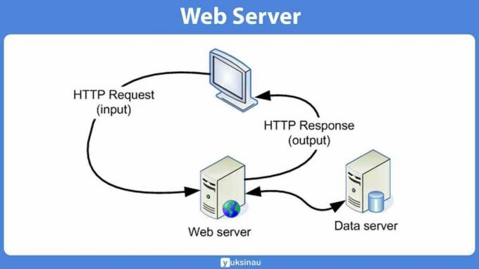 Web Server