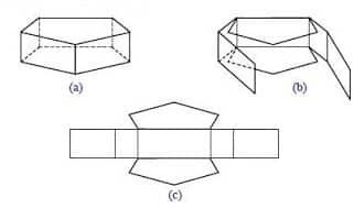 Nets of pentagonal prisms