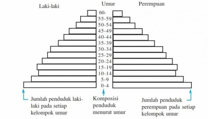 Püramiid-noor-rahvastik- (laienev)