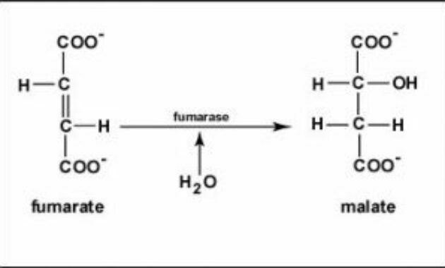 Niisutamine