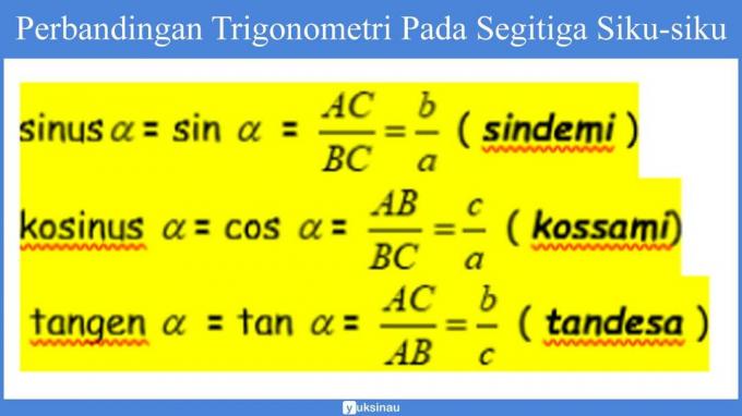 ตรีโกณมิติคือ