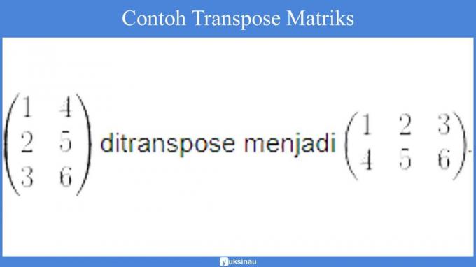 เมทริกซ์คือ