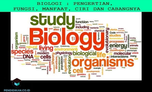 Bioloogia: määratlus, funktsioonid, eelised, omadused ja harud