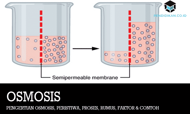 Määritelmä-osmoosi