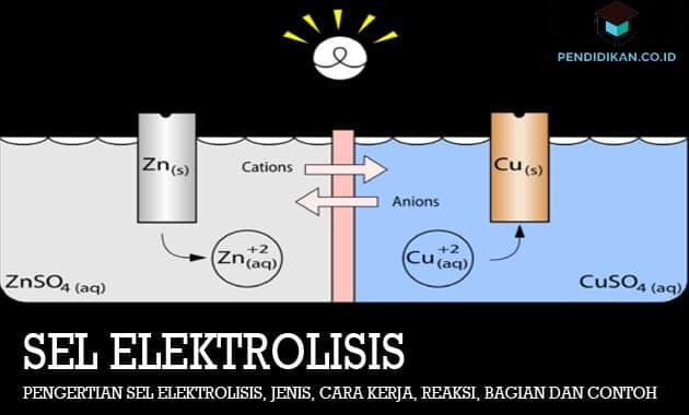 細胞電解