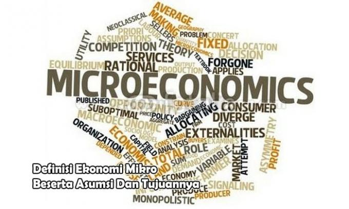 Визначення мікроекономіки та її припущення та цілі