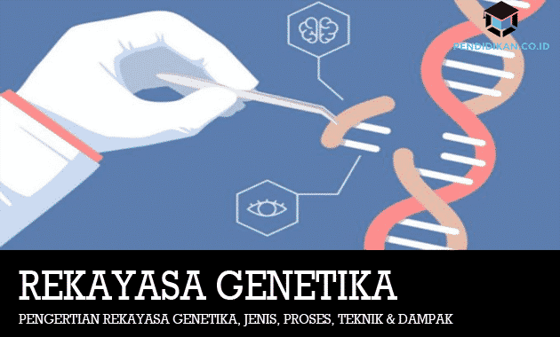 Разбиране-генетично инженерство