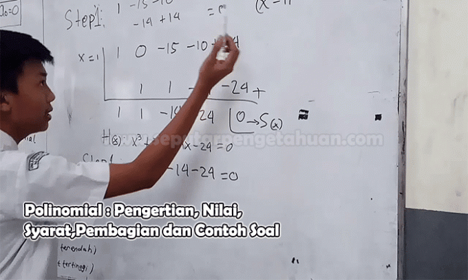 Polynomial: Definition, Value, Terms, Distribution and Example Problems