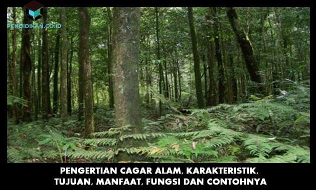 คำจำกัดความของเขตอนุรักษ์ธรรมชาติ ลักษณะ วัตถุประสงค์ ประโยชน์ หน้าที่ และตัวอย่าง