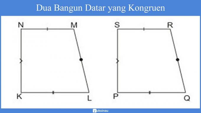 التطابق والتطابق pdf