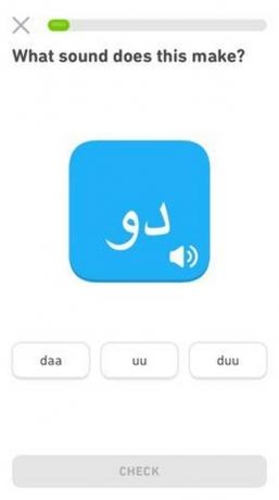 Arabic learning application