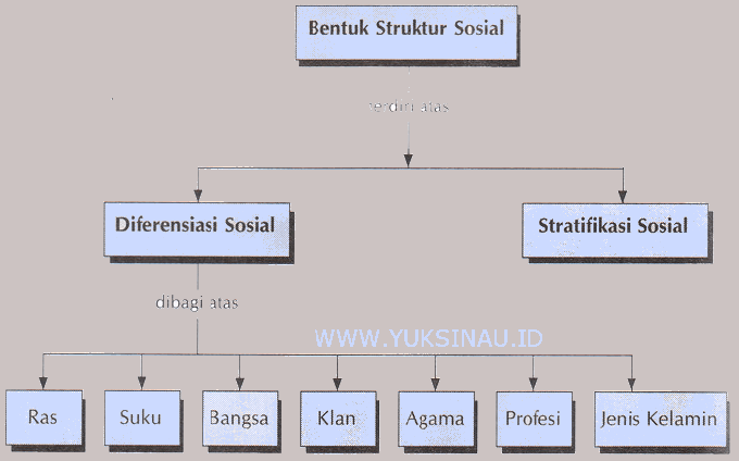 รูปแบบของโครงสร้างทางสังคม