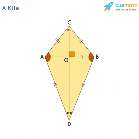 Examples of Kite Problems and Discussion