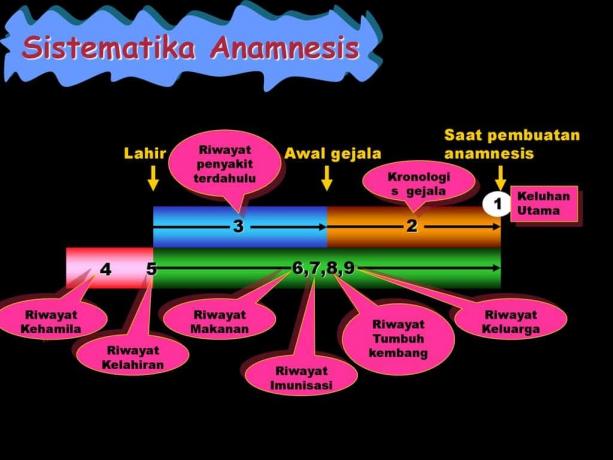 Süstemaatik-anamnees