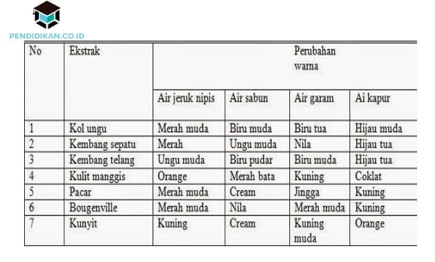 Understanding Acid-Base Indicators, Types and Examples