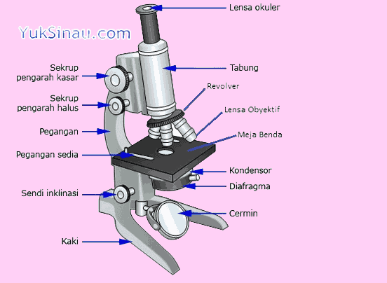 მიკროსკოპის ნაწილები