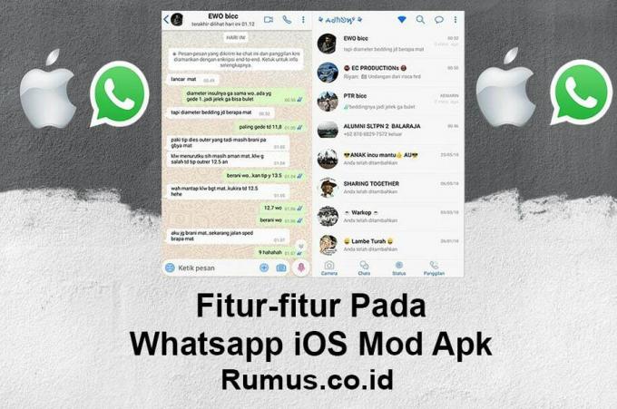 Whatsapp iOS ModApkの機能