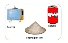 テレビ、カピ、缶