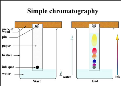 คำจำกัดความของโครมาโตกราฟี ประเภทของโครมาโตกราฟีและคำอธิบาย