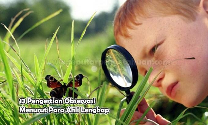 13 Definition of Observation According to Complete Experts