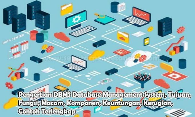 فهم نظام إدارة قواعد بيانات DBMS والأهداف والوظائف والأنواع والمكونات والمزايا والعيوب والأمثلة