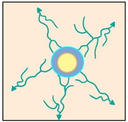 Centrifugal Radial Flow