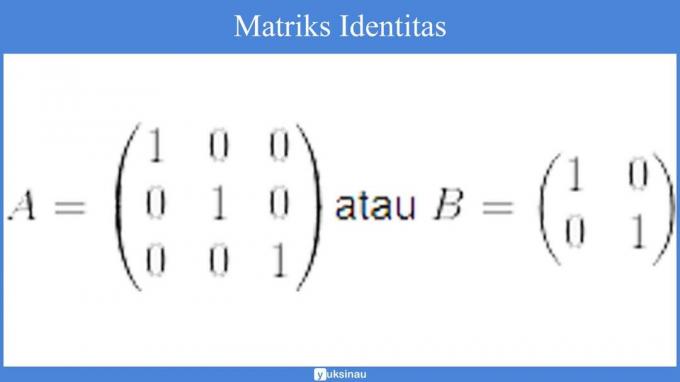 องค์ประกอบดีเทอร์มิแนนต์เมทริกซ์